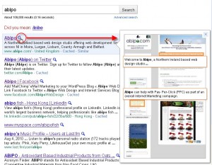 NI Web Design - Google Instant Preview 1